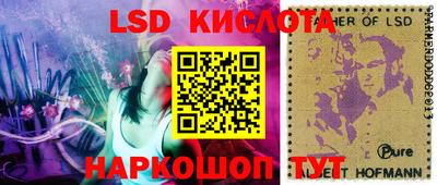 прущие грибы Гусев