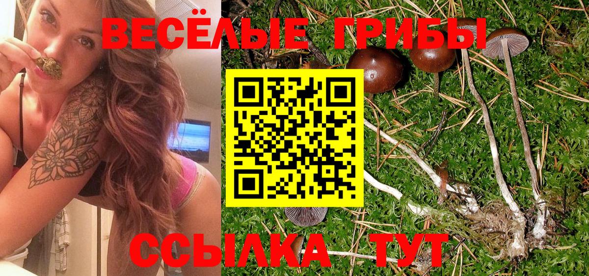как найти   Вход с VPN  Россия  Галлюциногенные грибы ЛСД 